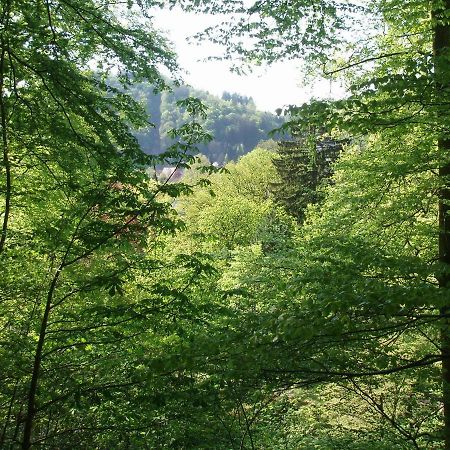 Pension/Bed And Breakfast Pangeaバート・ラウターベルク エクステリア 写真